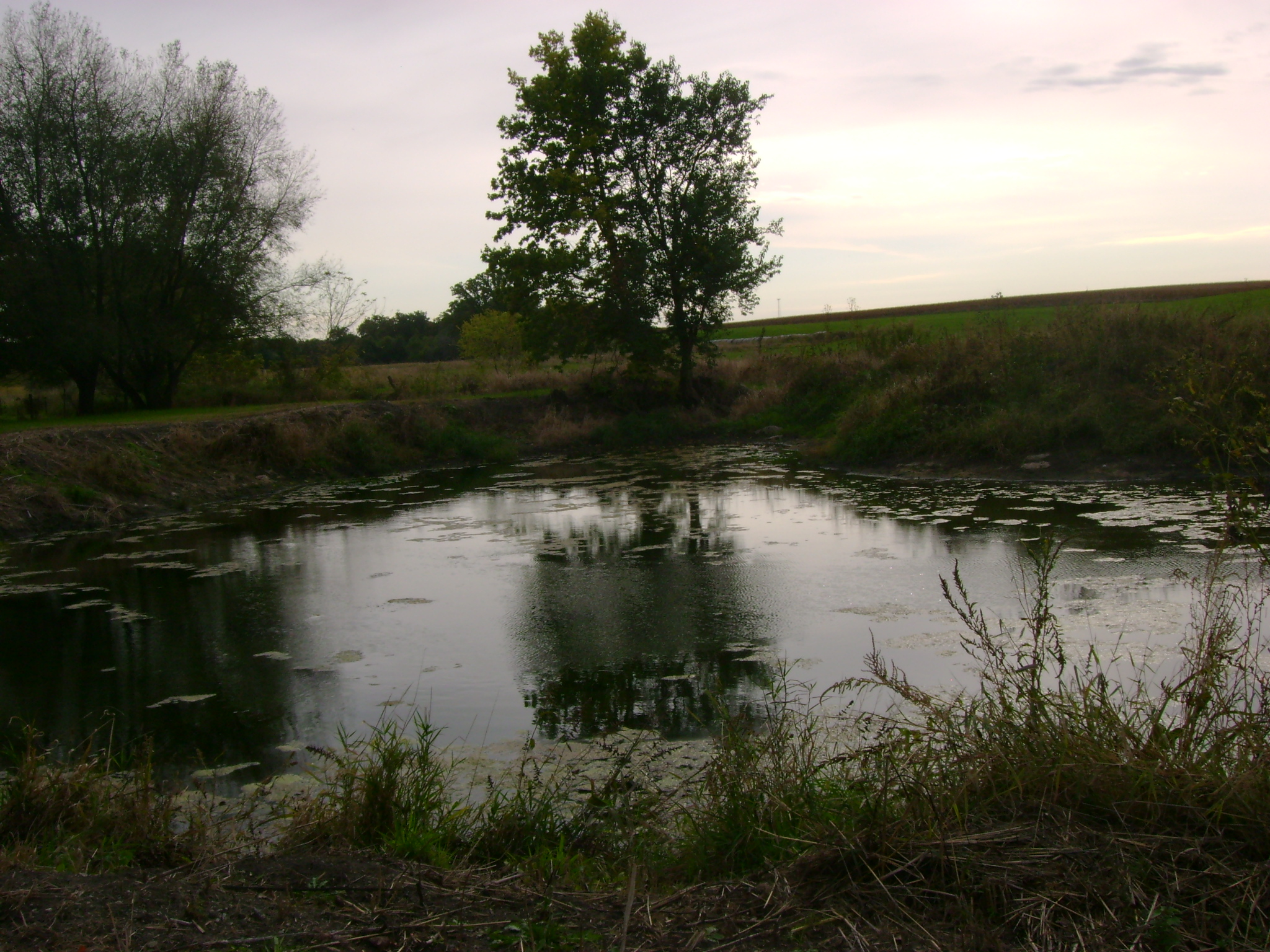 Pond 2