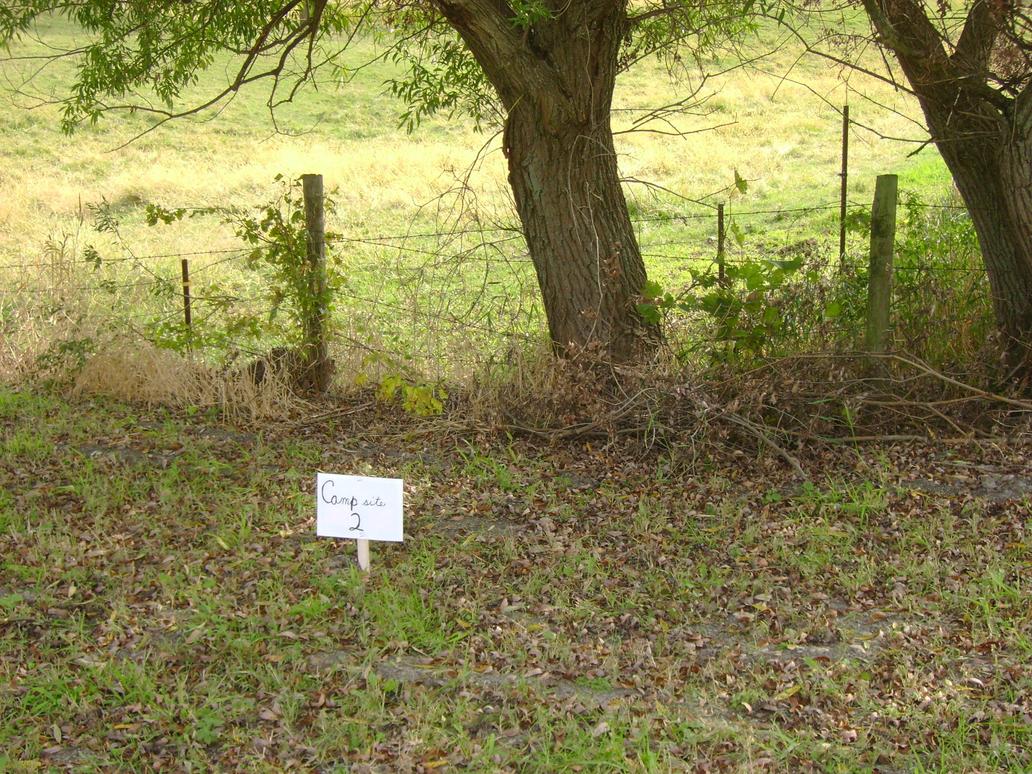 Site 2