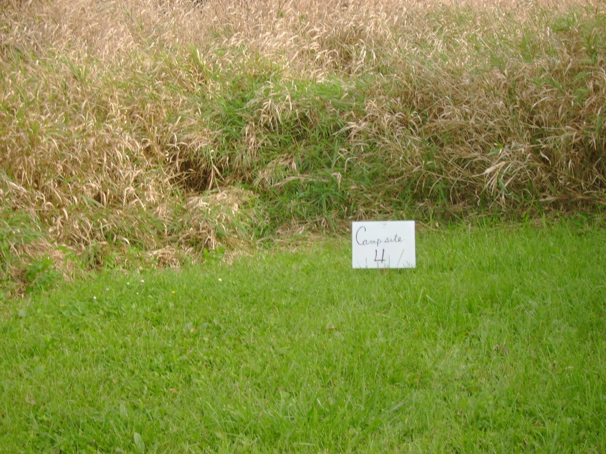 Site 4