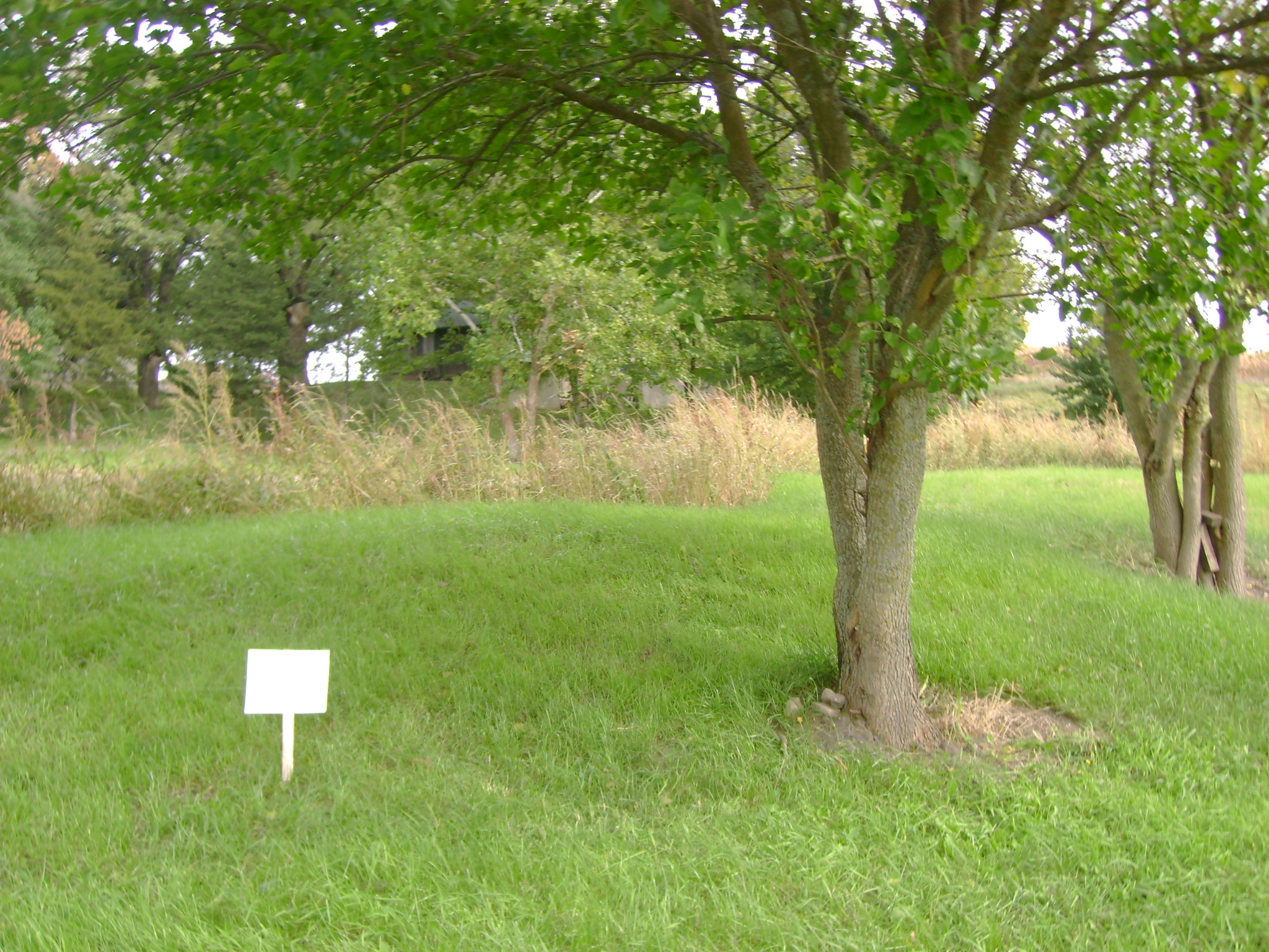Site 6