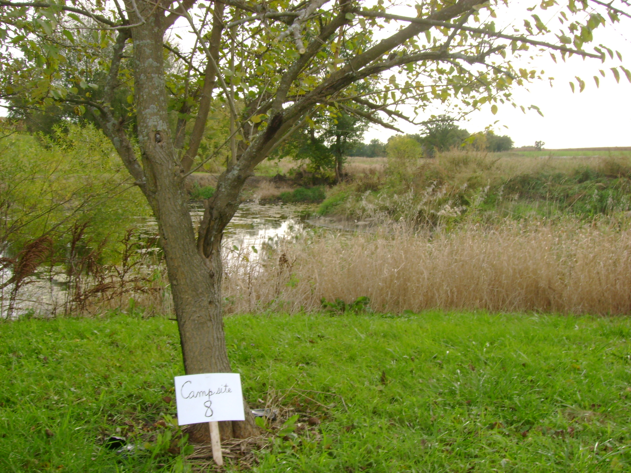Site 8