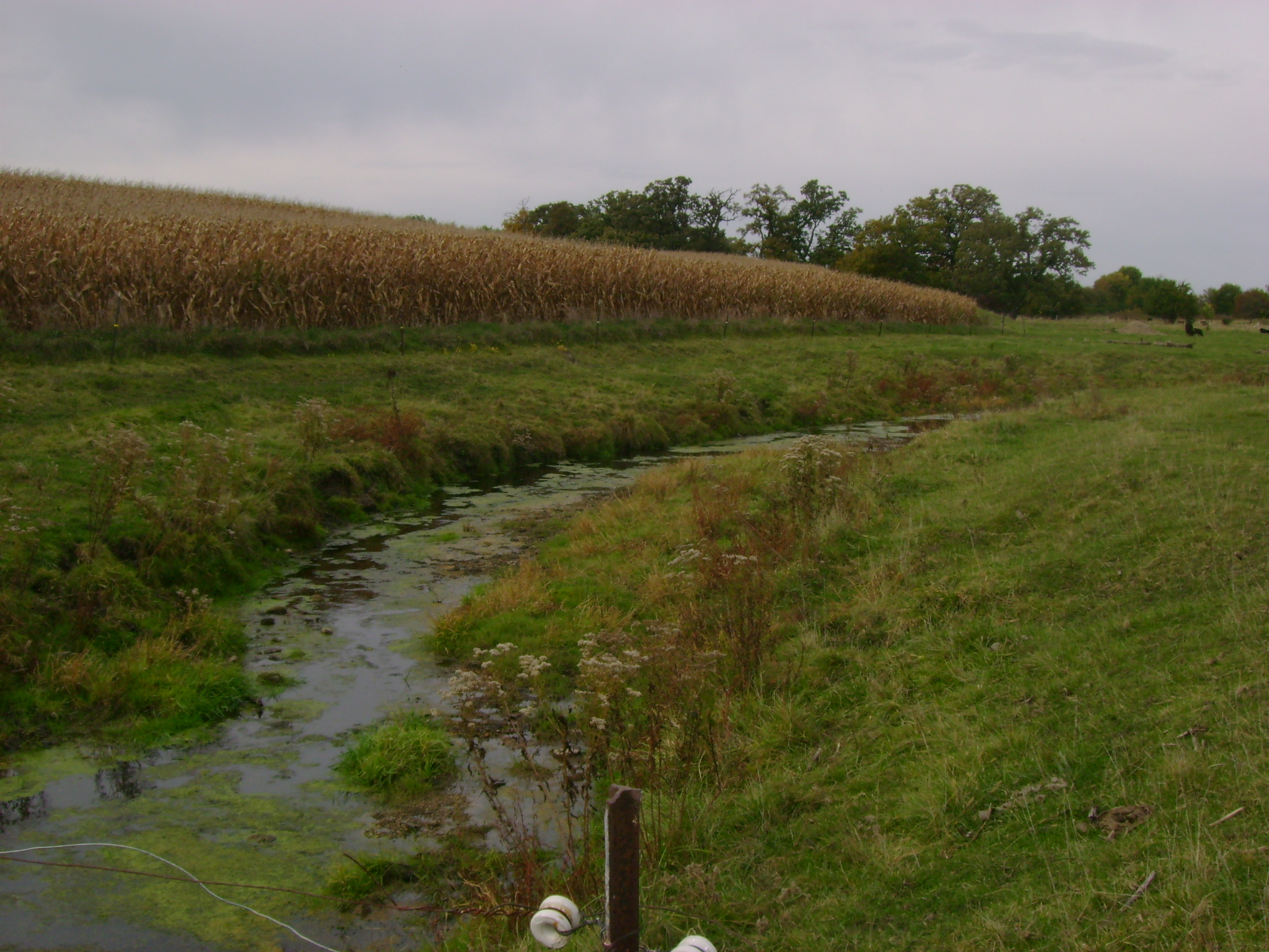 Tomahawk Creek