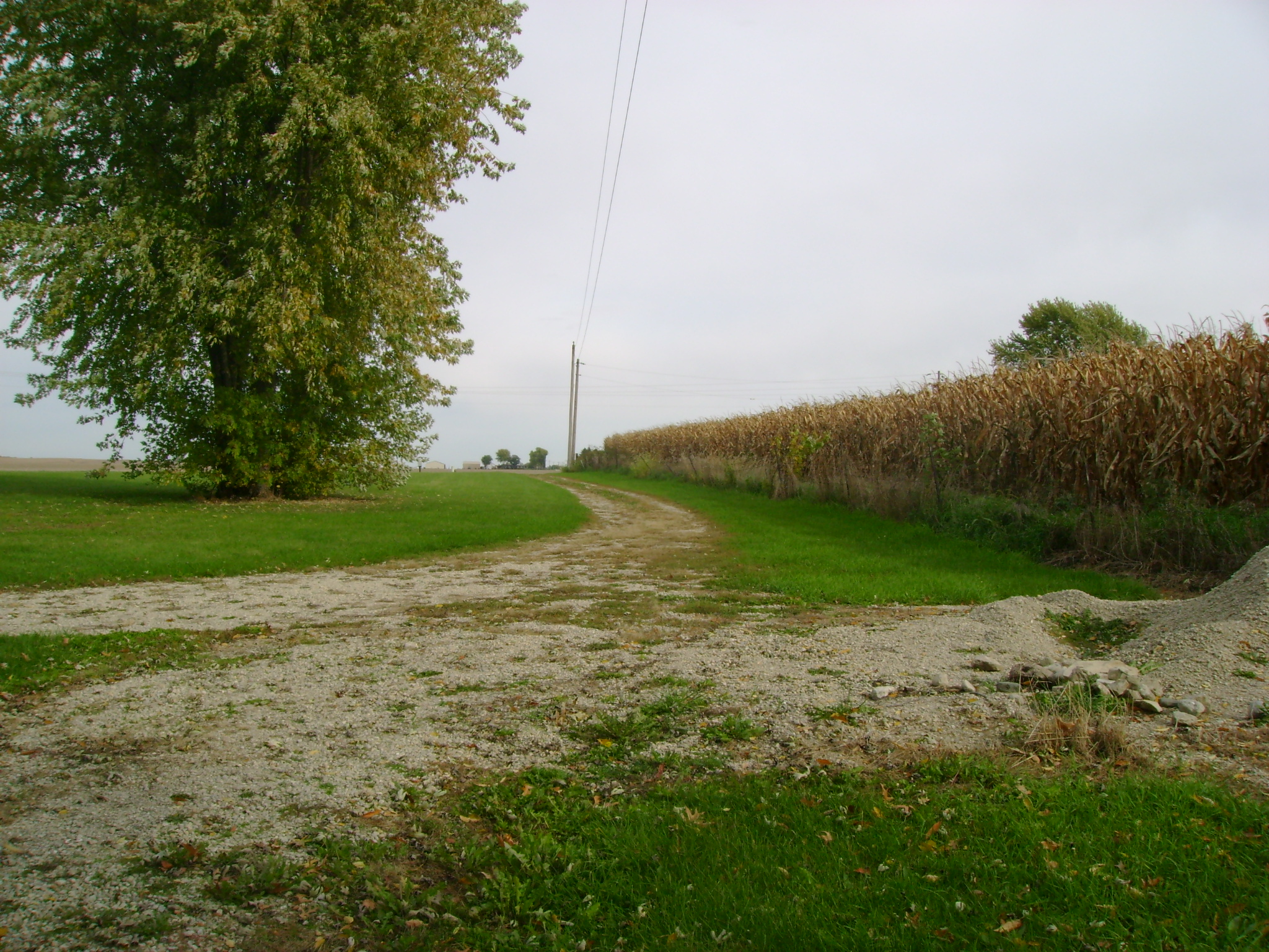 Driveway